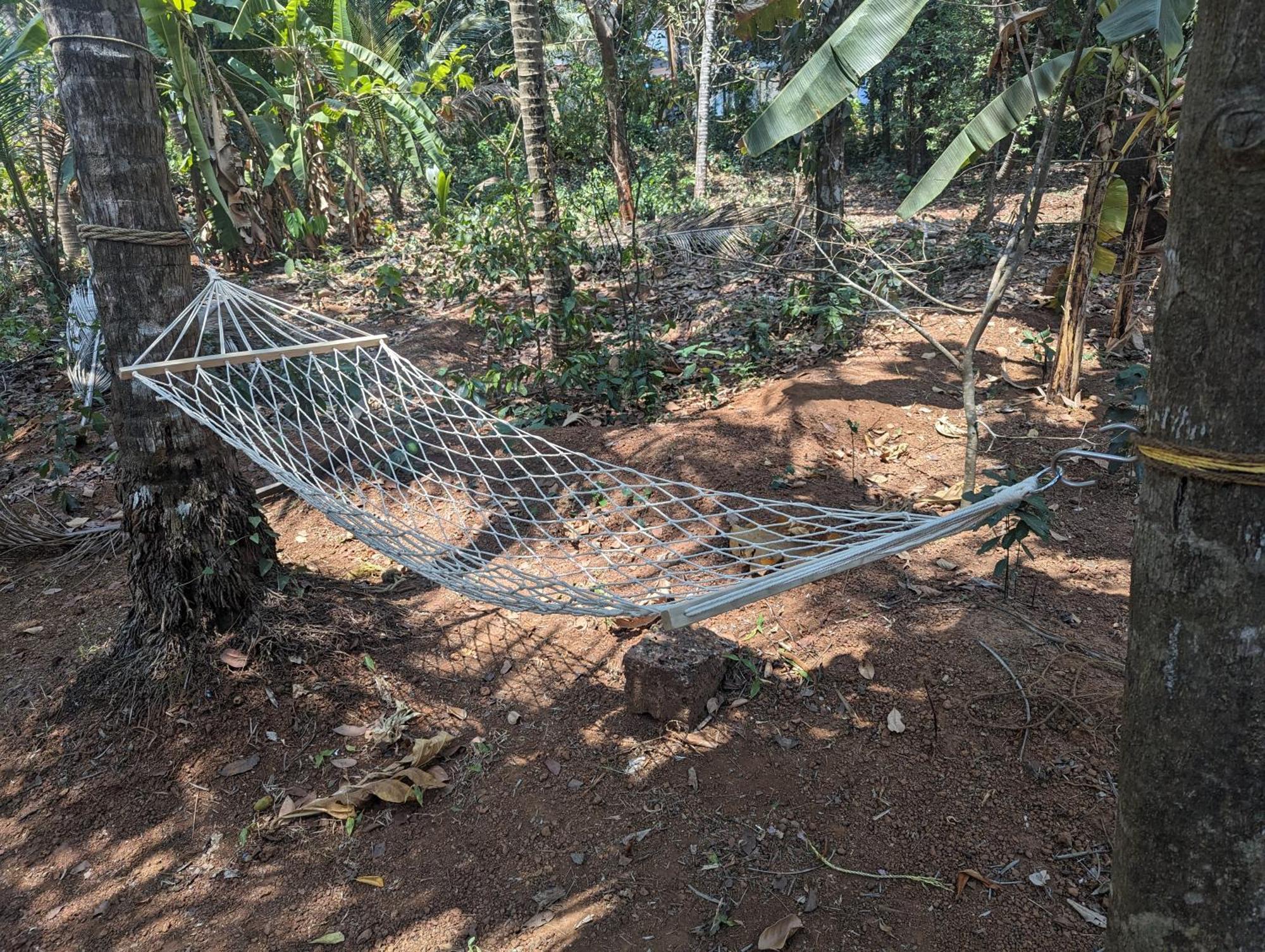 Hill Top Homes Kannur Exterior photo